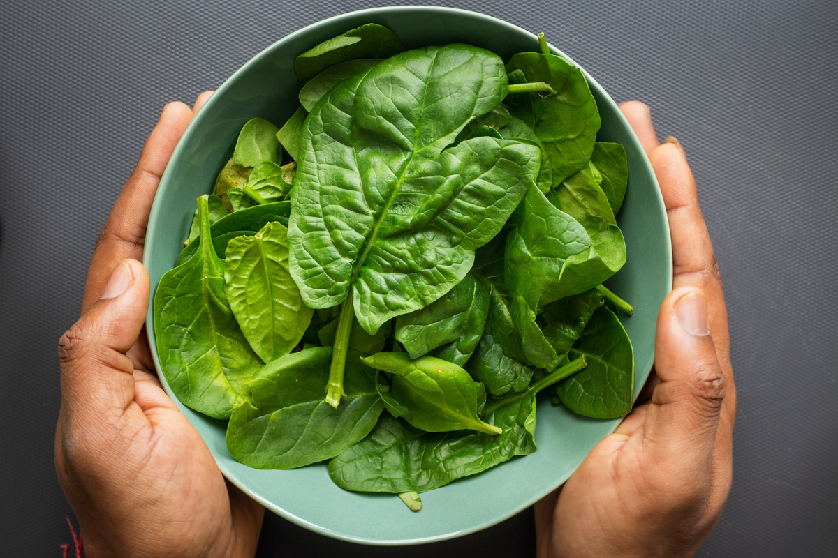 Hands hold a green bowl of fresh spinach leaves